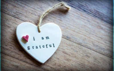 5 Minutes of Gratitude Attitude Raises Your Vibration