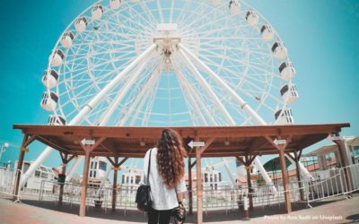 5 Easy Steps To Turn The Hamster Wheel of Life Into A Ferris Wheel